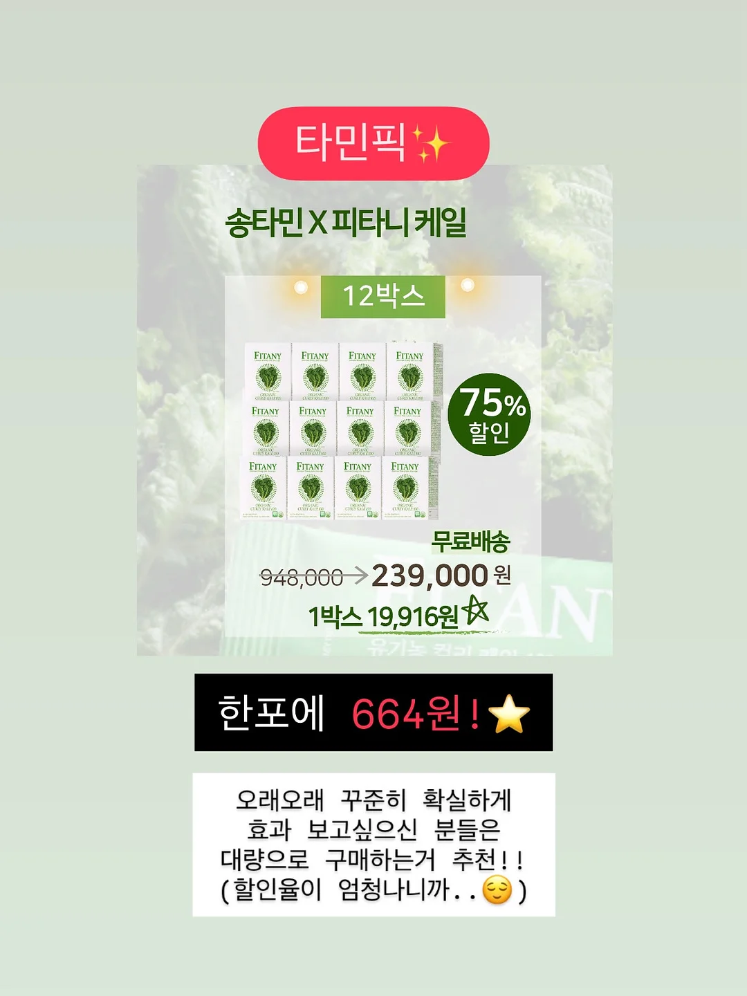 살로몬 운동화 2