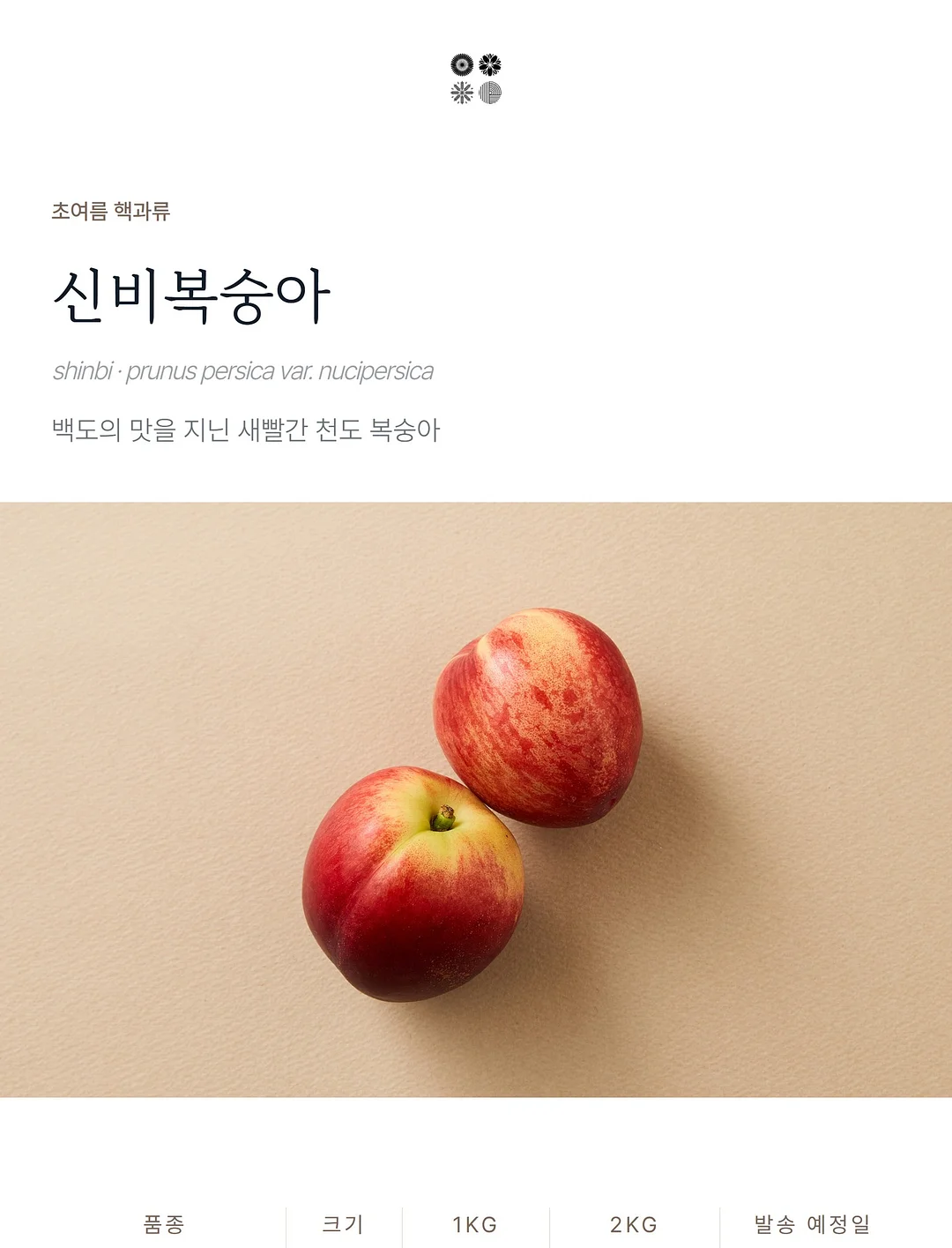 퍼프블라우스와 스락팬츠