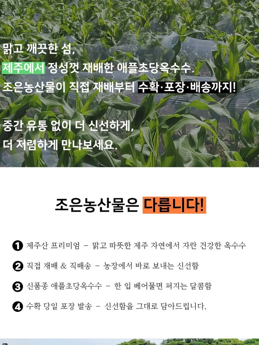 부케기프트 원데이클래스 15