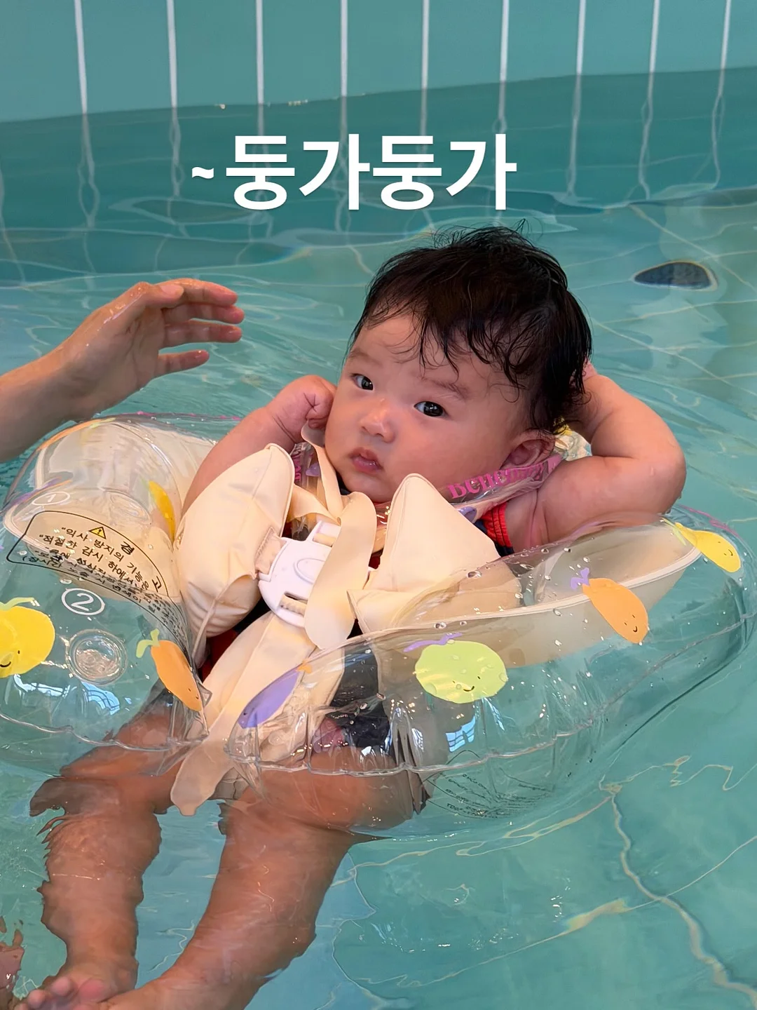 쿠디 윈드스크린 5
