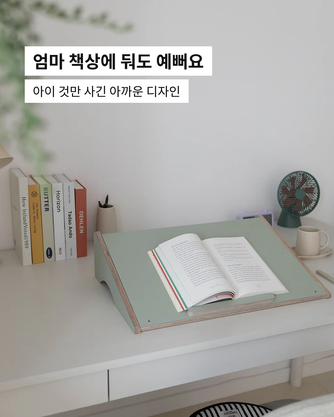 해산물 13