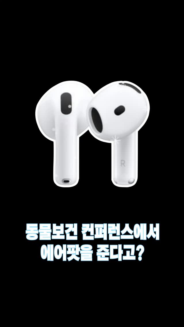 모멘토아 초음파앨범