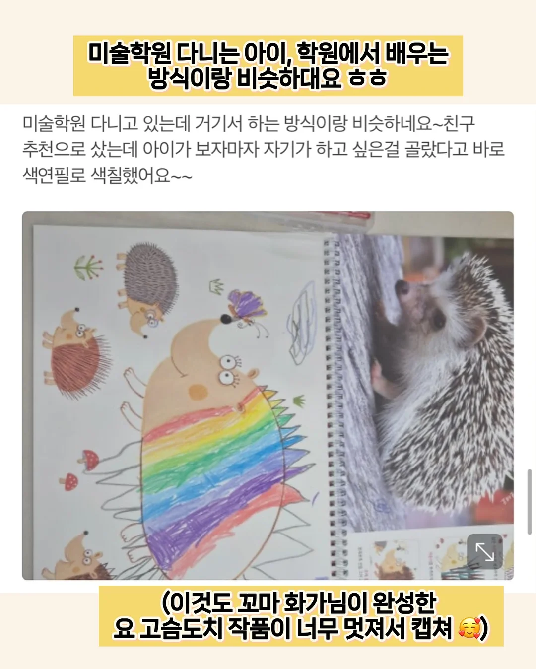 다용도 정리대 15
