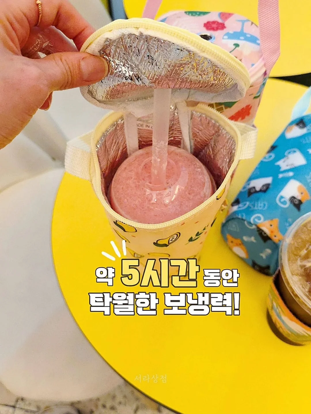 가비채 4