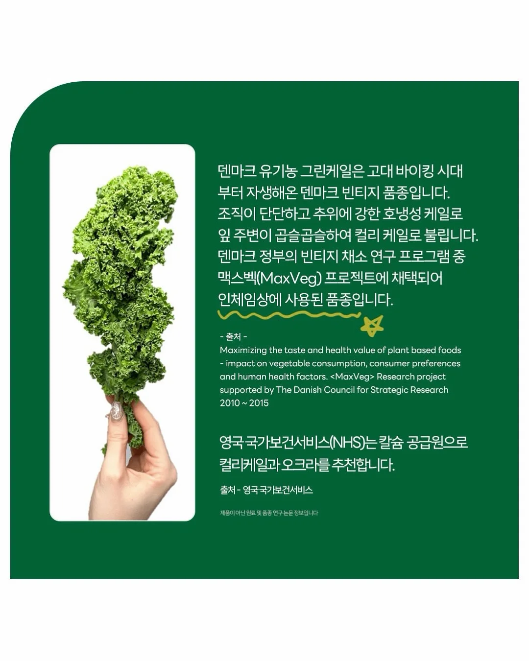 차량용 렌즈가드 8