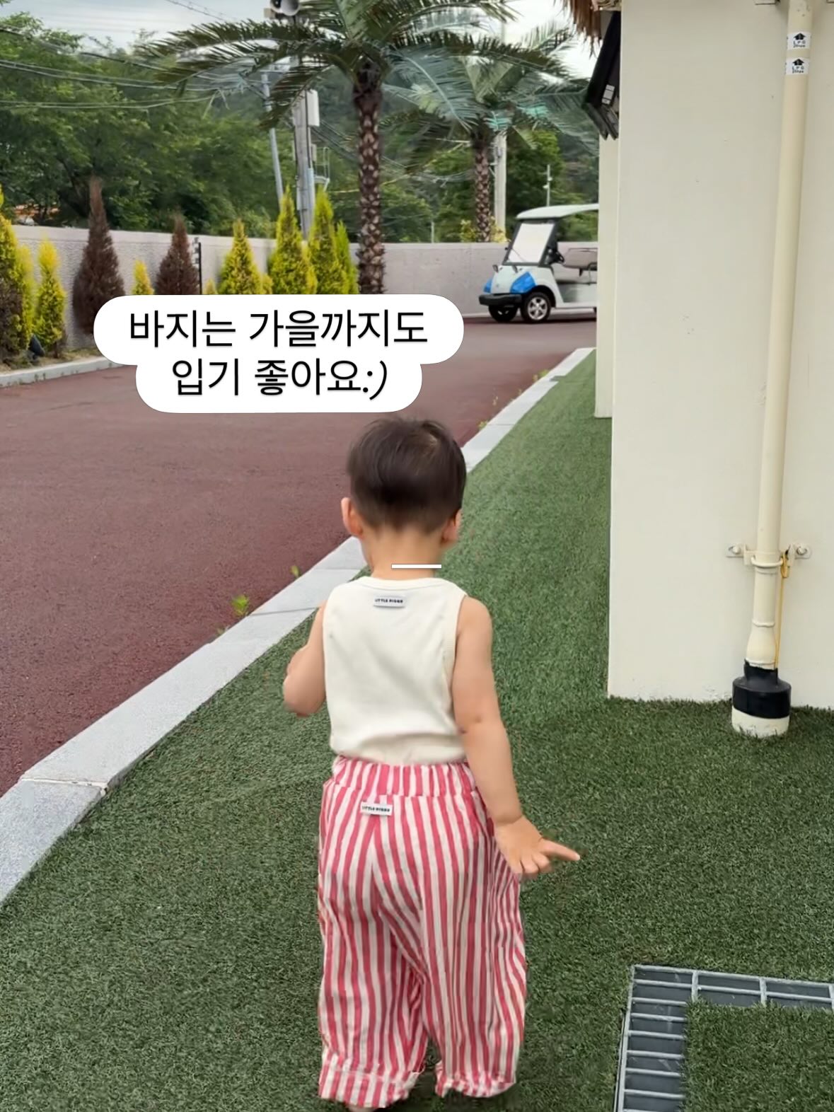 아이언츄 철분제 12