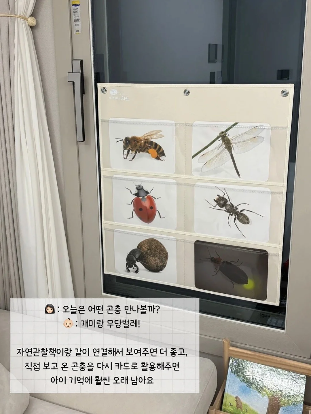 비쥬 미니원피스 8