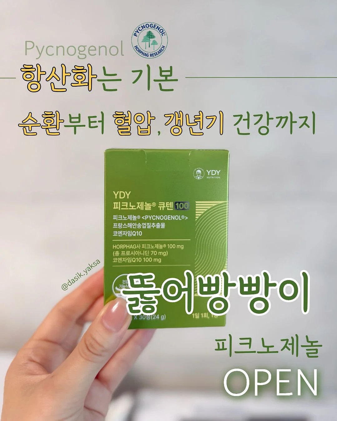 악센다 마호로사 2EA 1