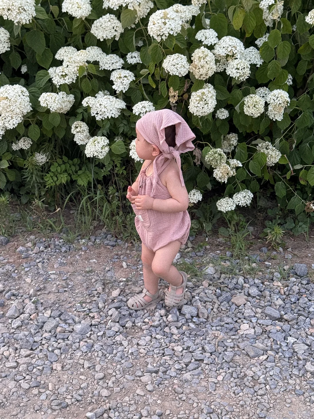 뽀글이 2