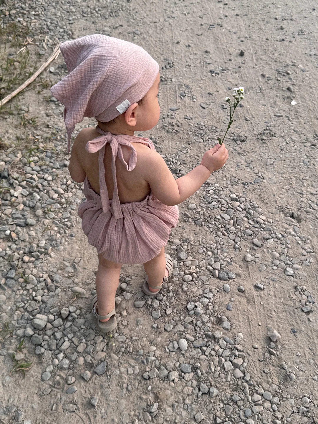 뽀글이 6