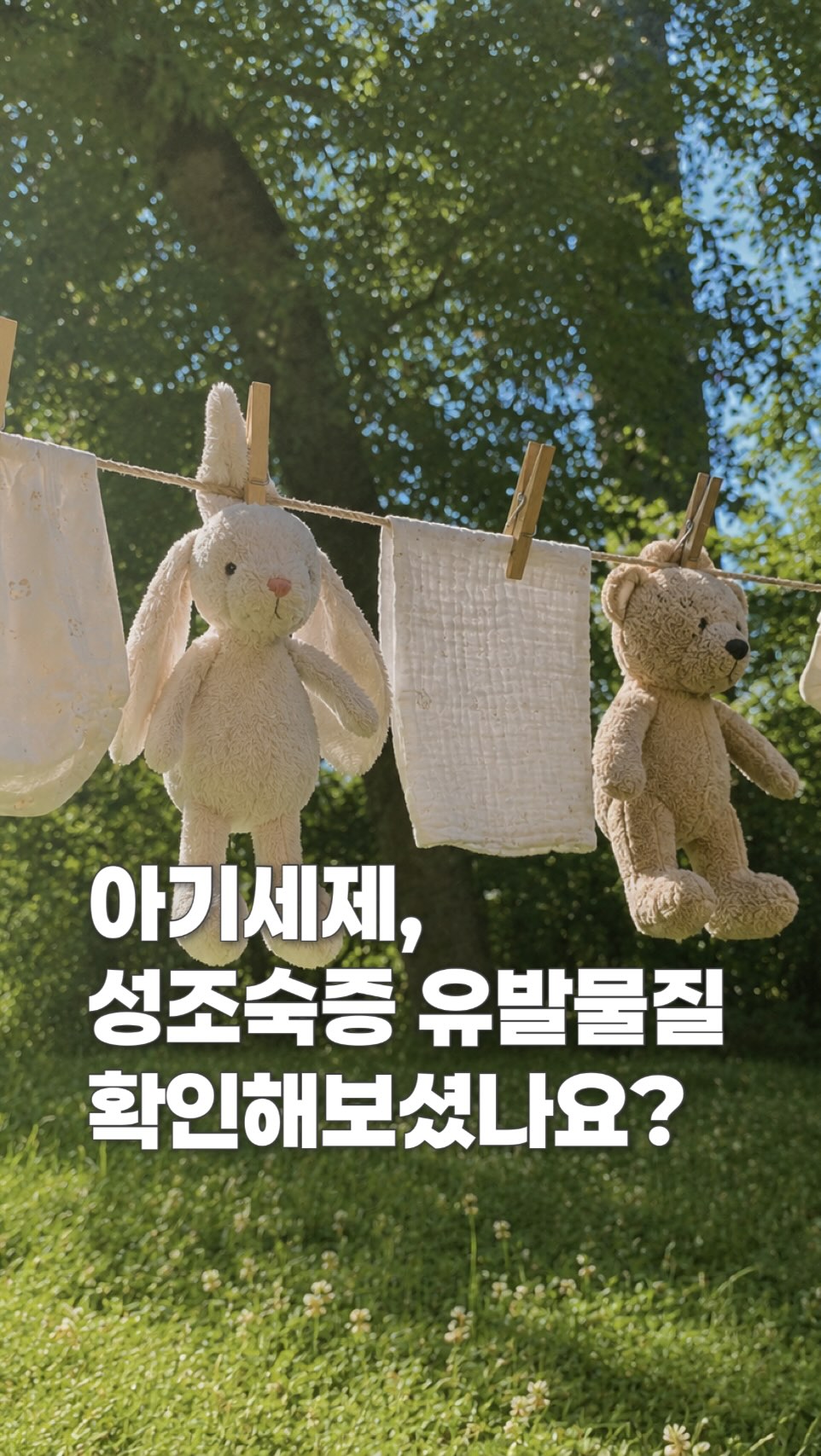 전교회장 연설문 자료