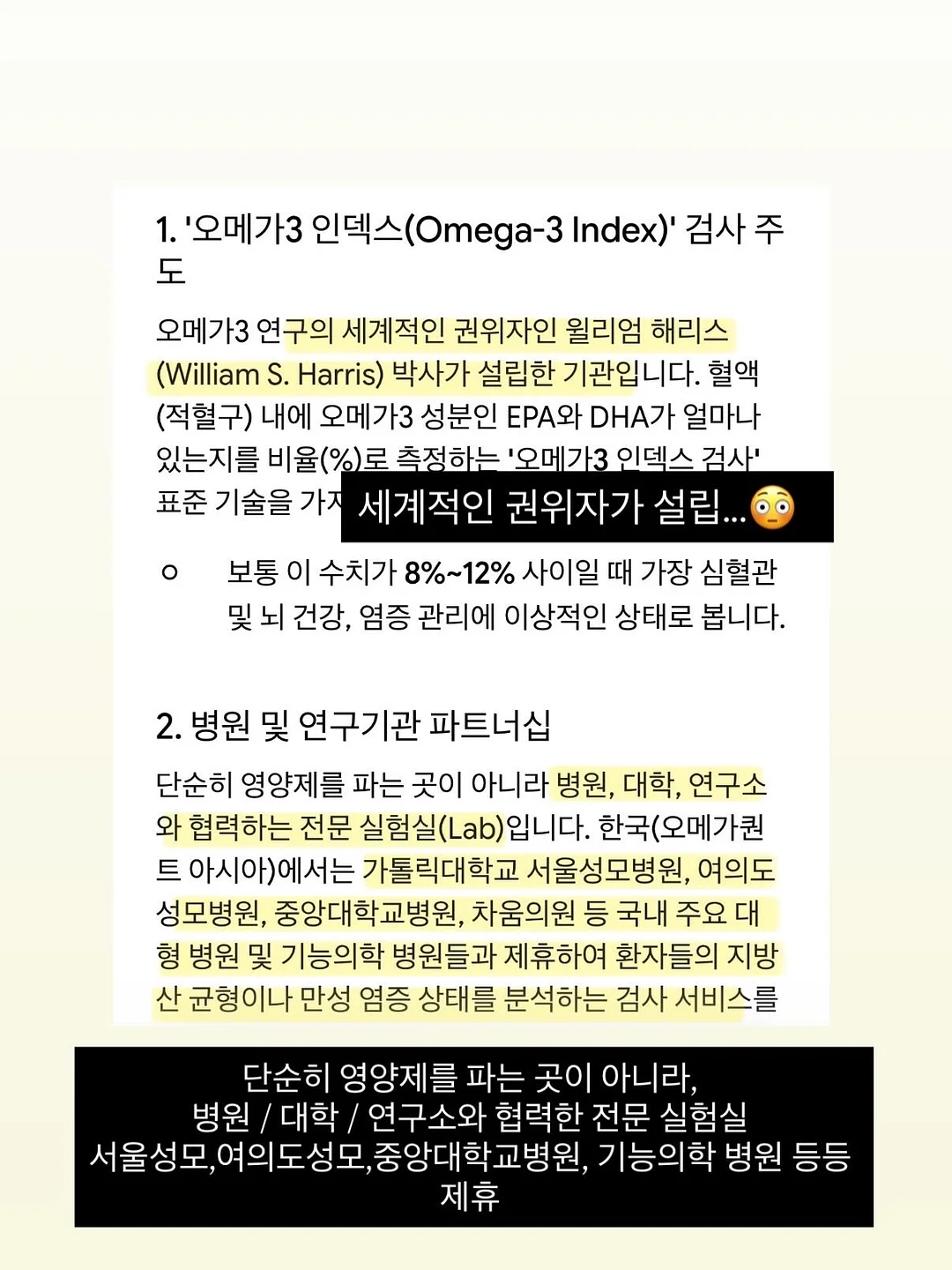 메종드코튼 12