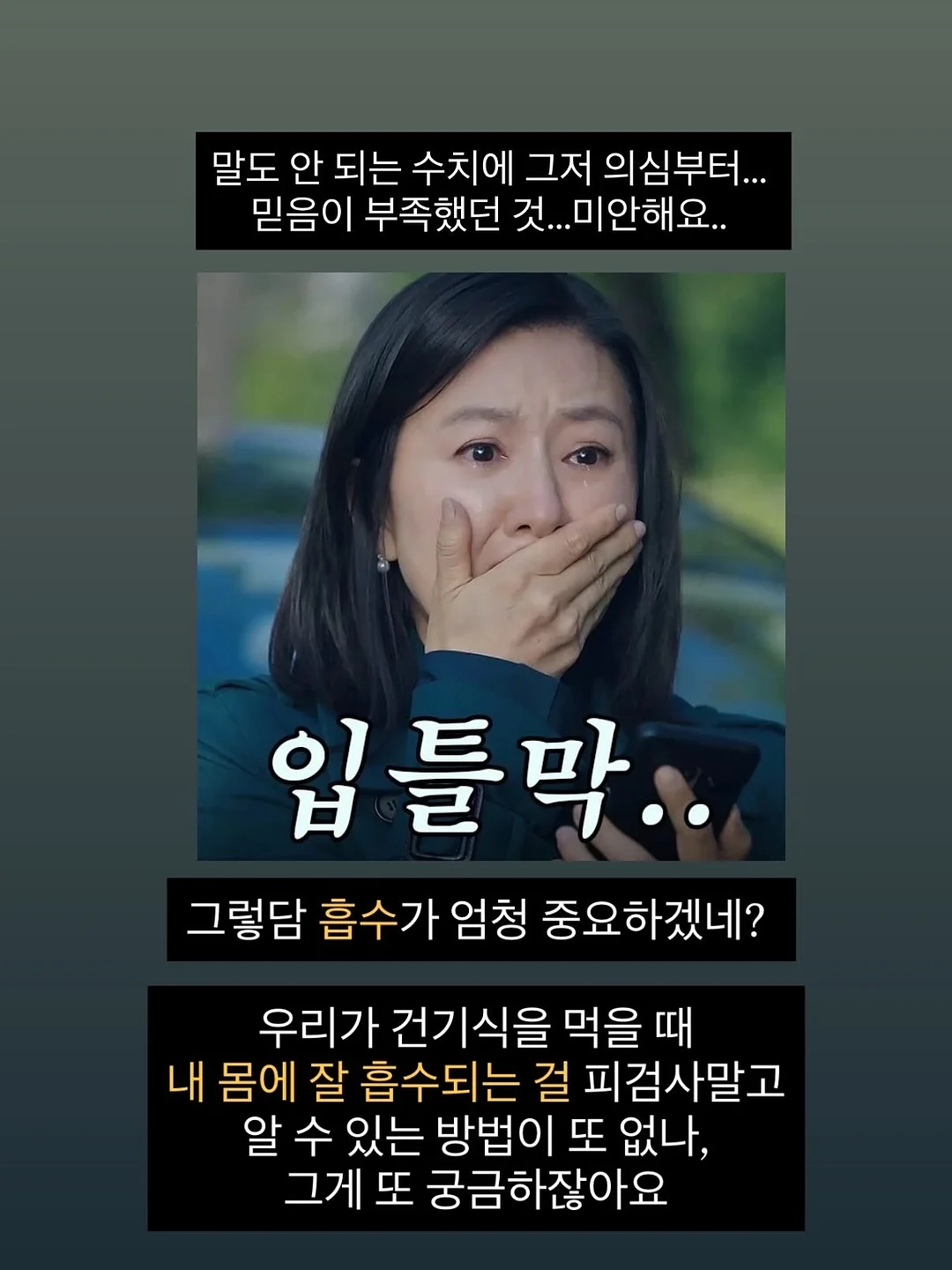 메종드코튼 14