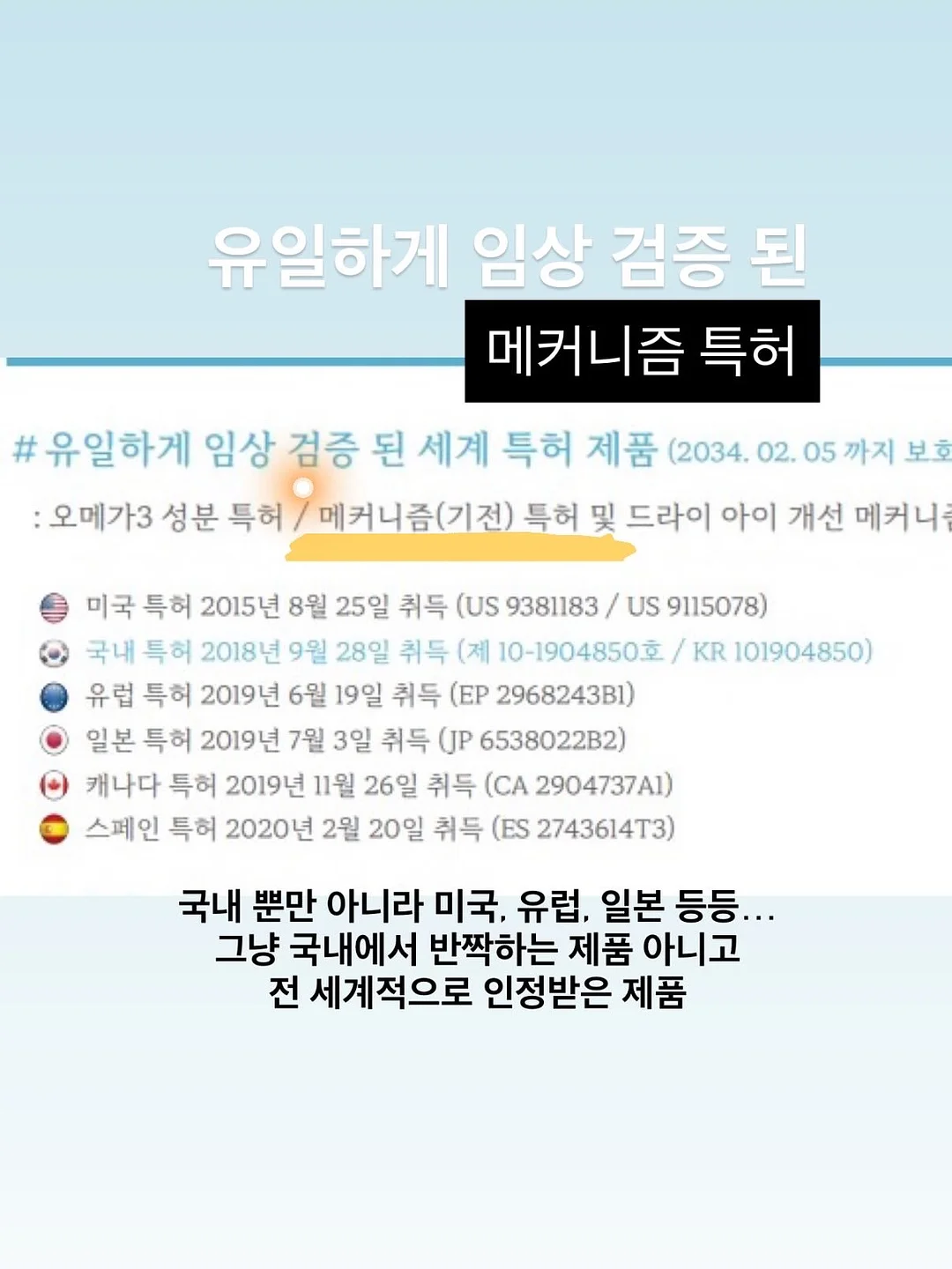 메종드코튼 15