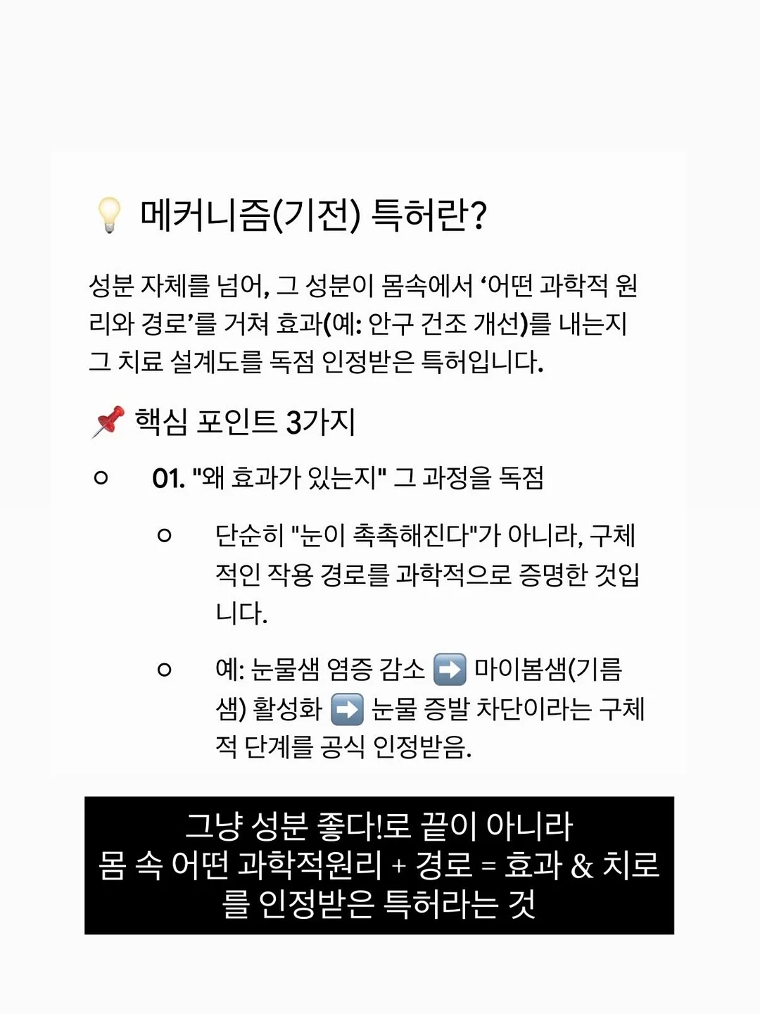 메종드코튼 16