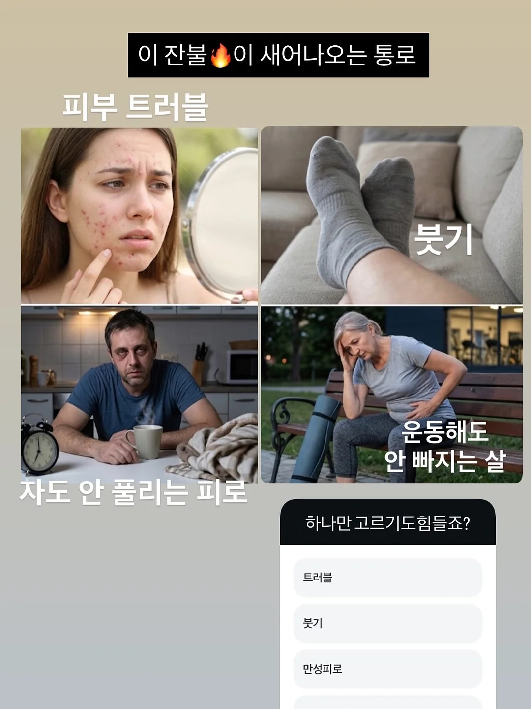메종드코튼 6
