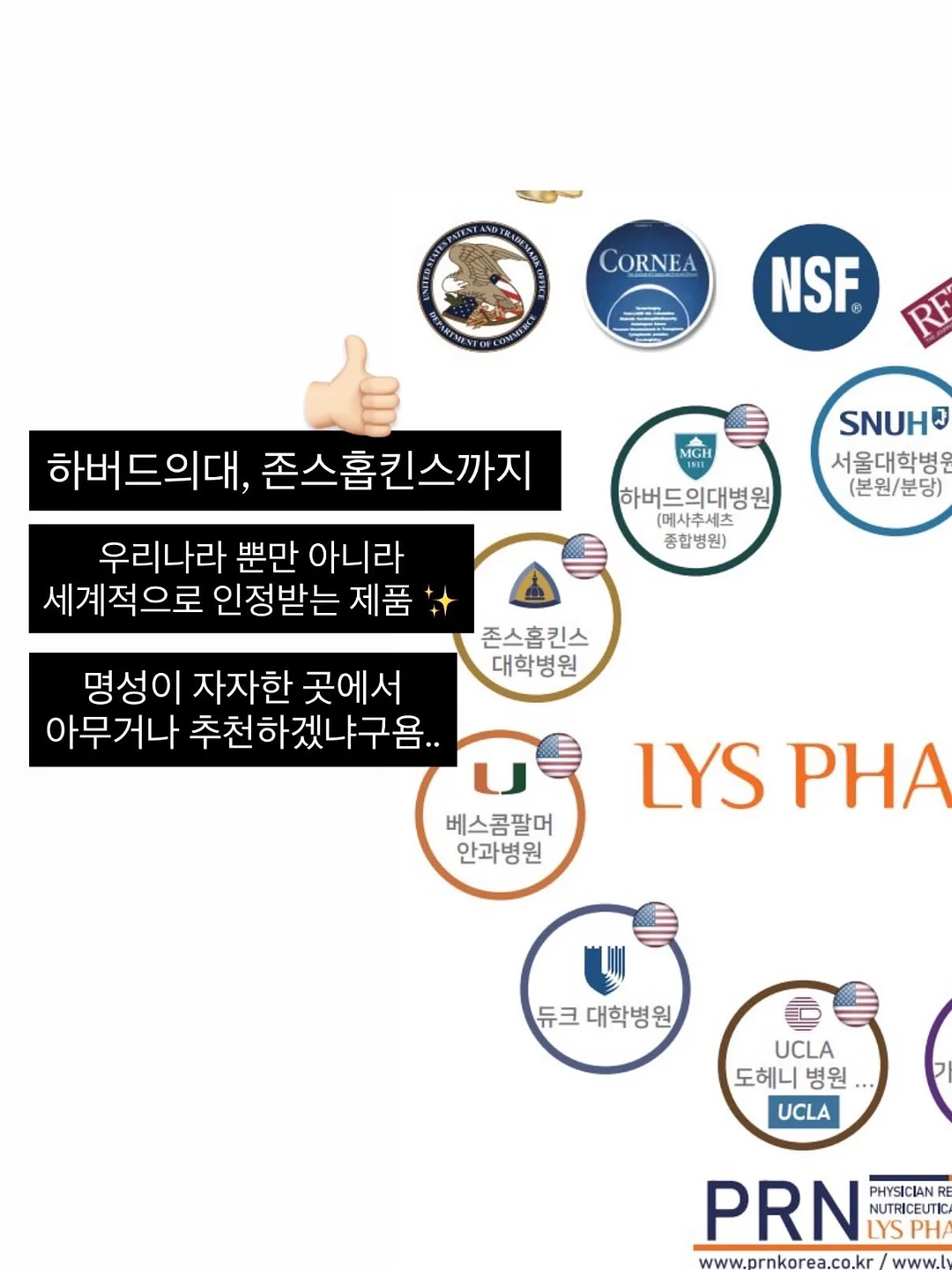 메종드코튼 8