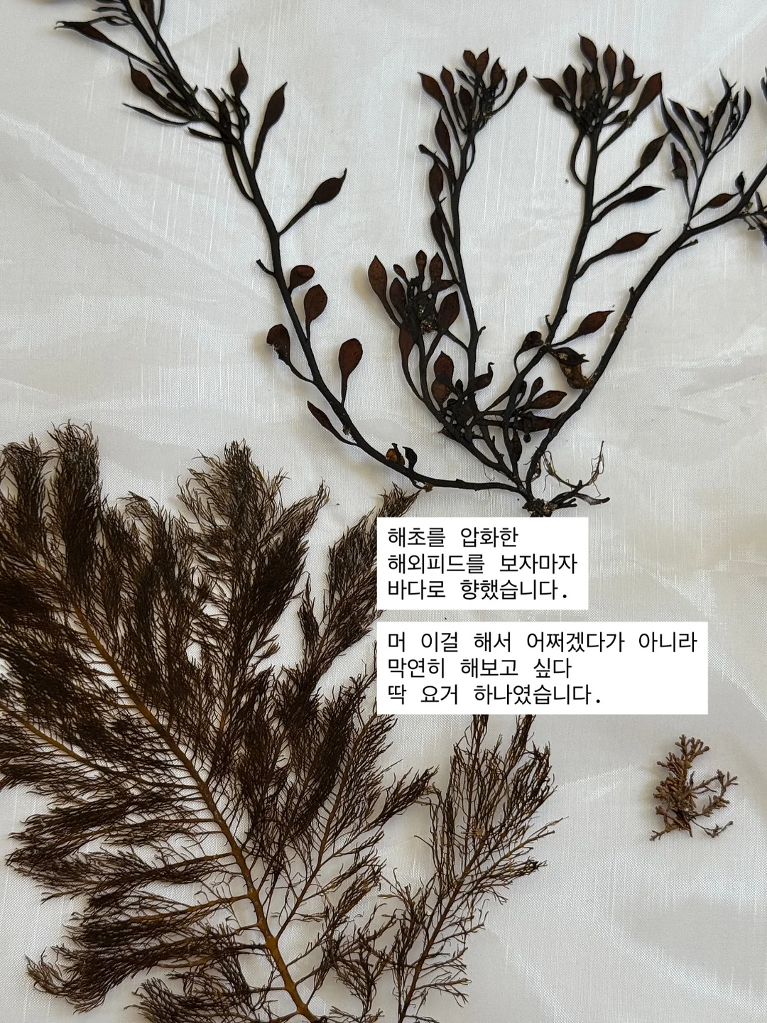 버버리 반웰 토트백 1