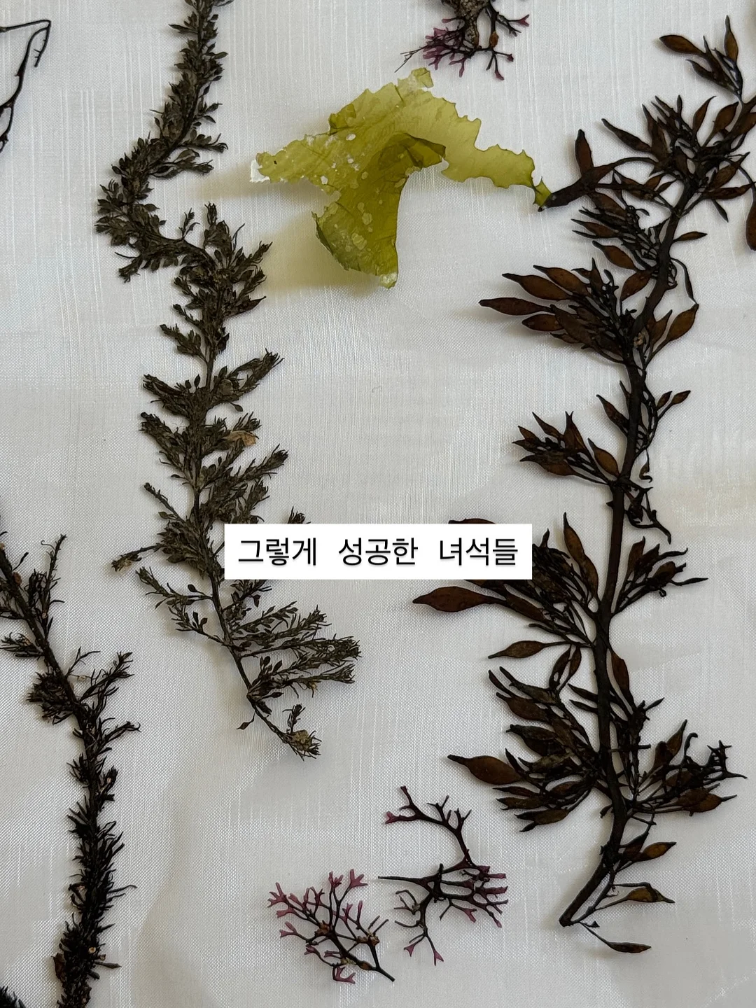 버버리 반웰 토트백 11