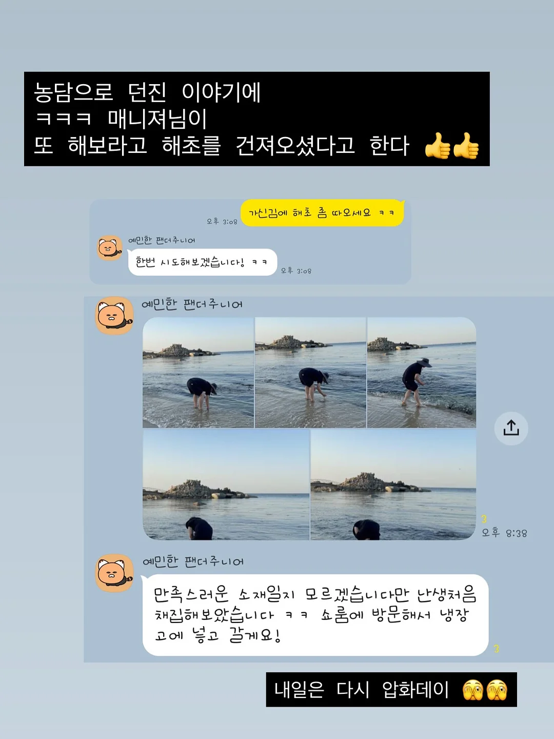 버버리 반웰 토트백 13