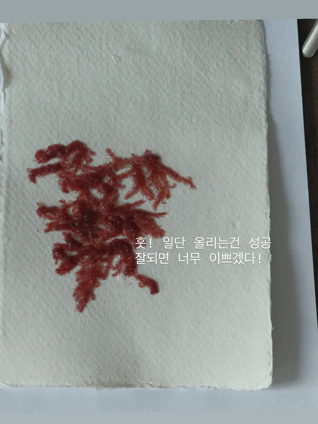 버버리 반웰 토트백 3