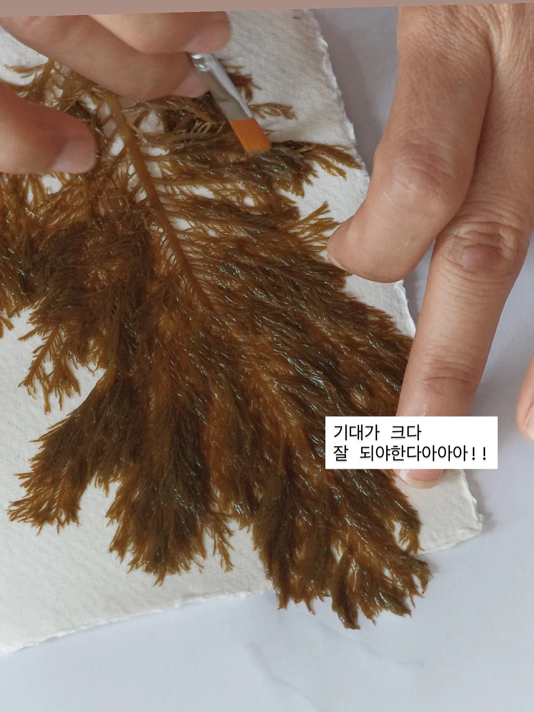 버버리 반웰 토트백 5