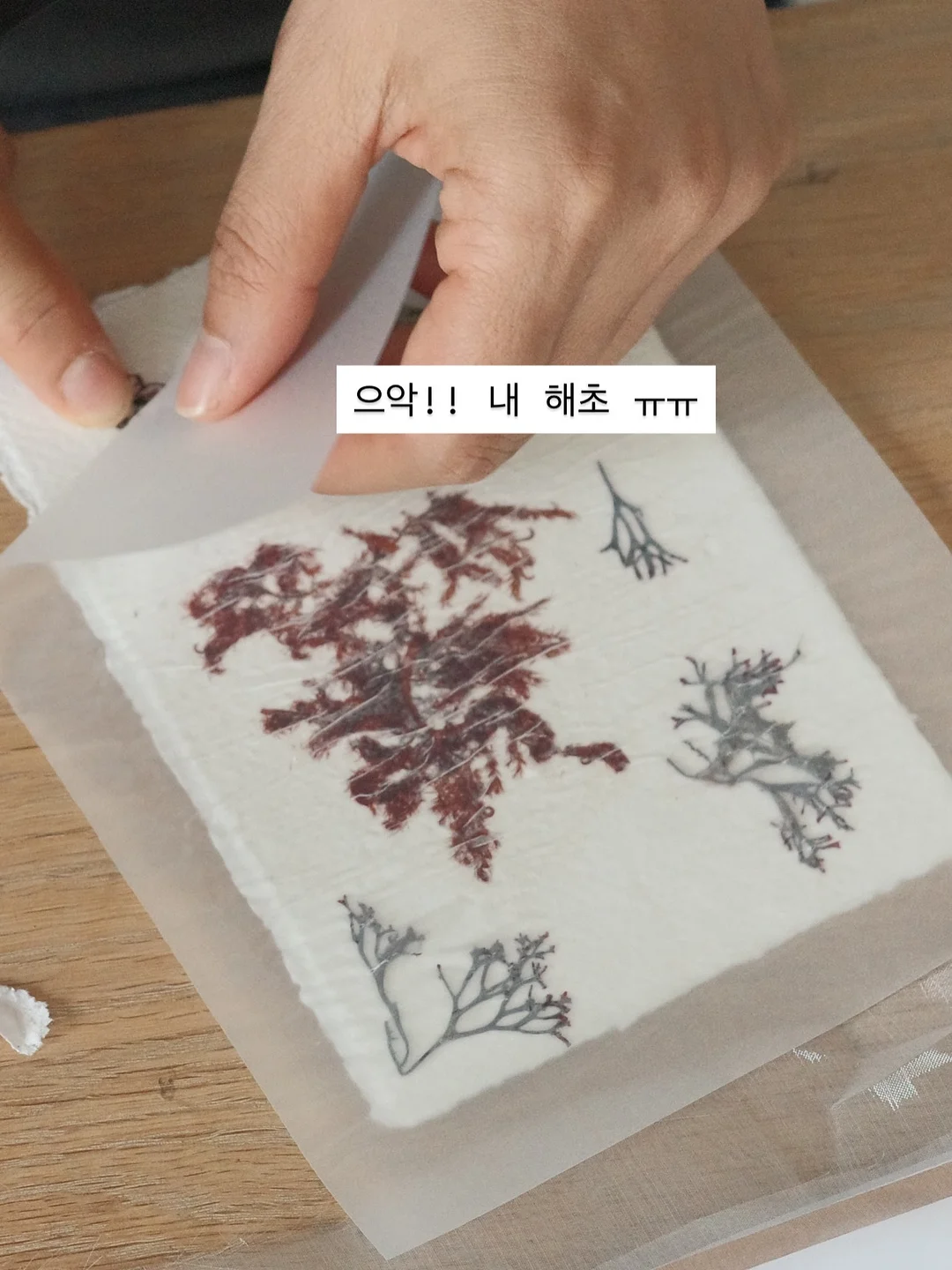 버버리 반웰 토트백 7
