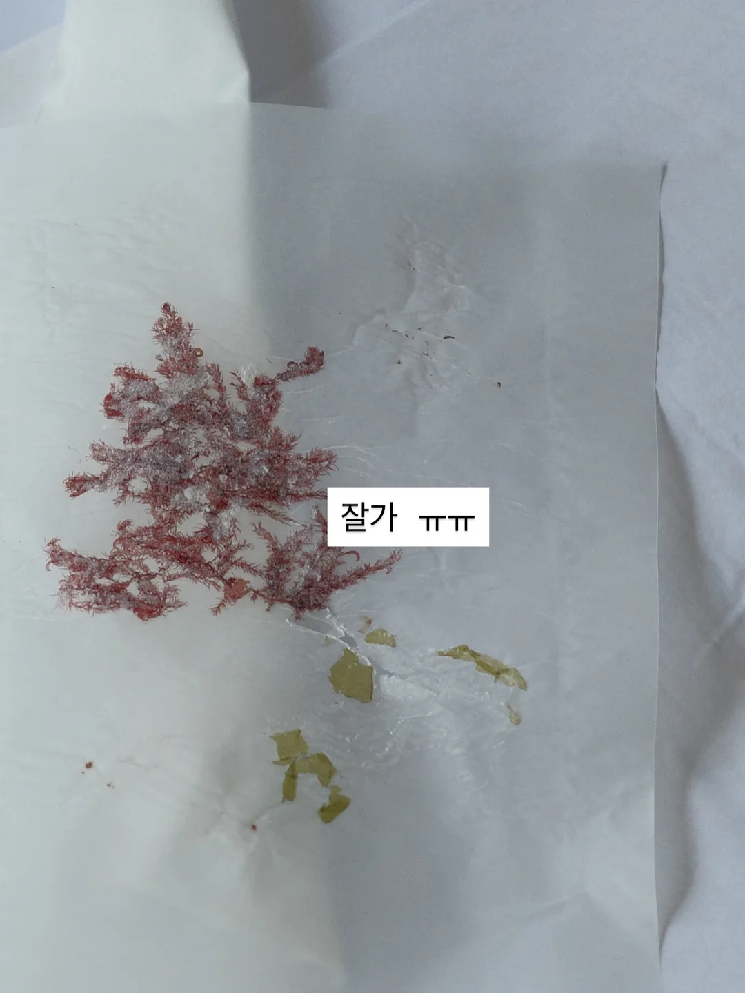 버버리 반웰 토트백 9