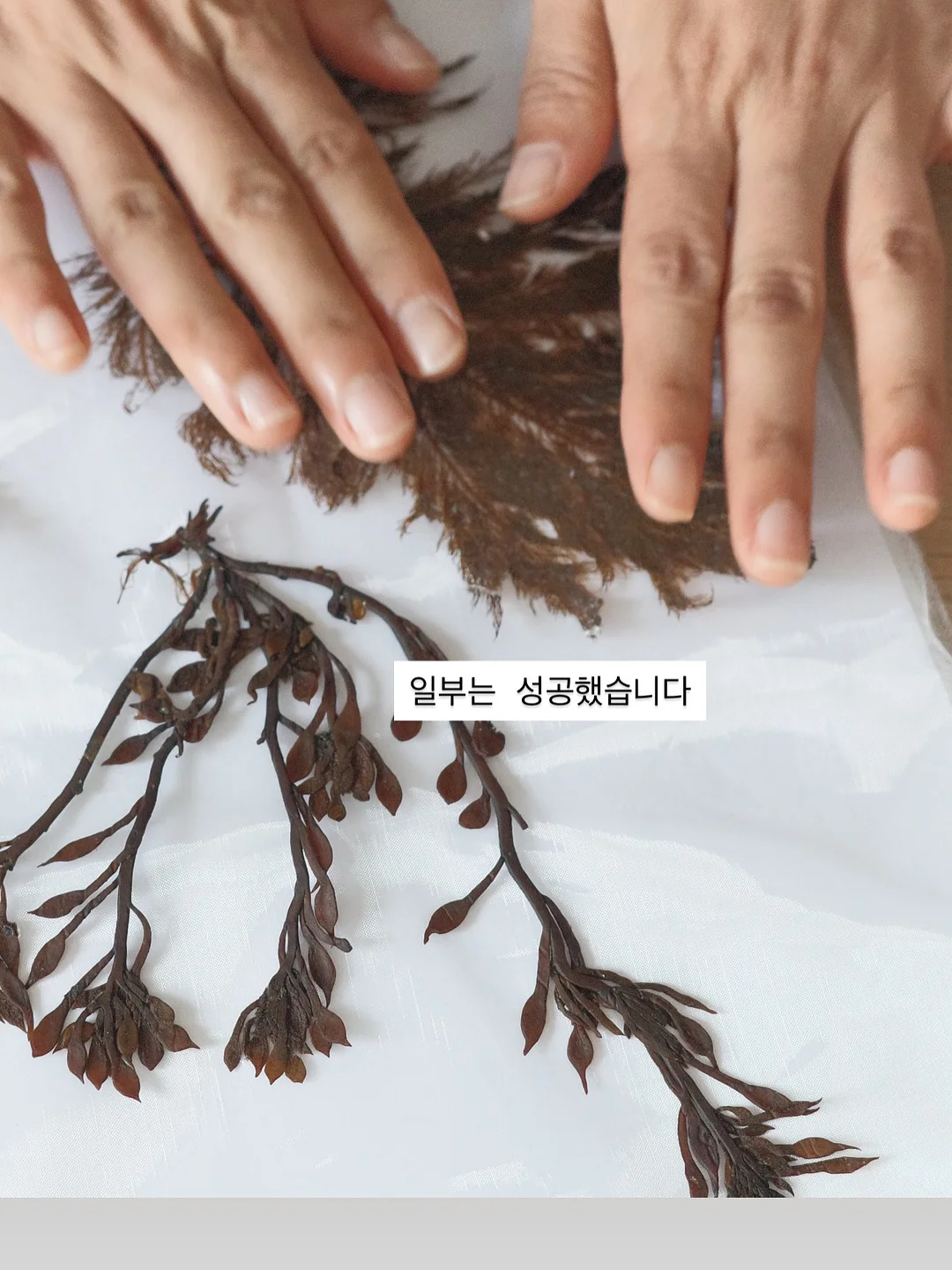 버버리 반웰 토트백 10