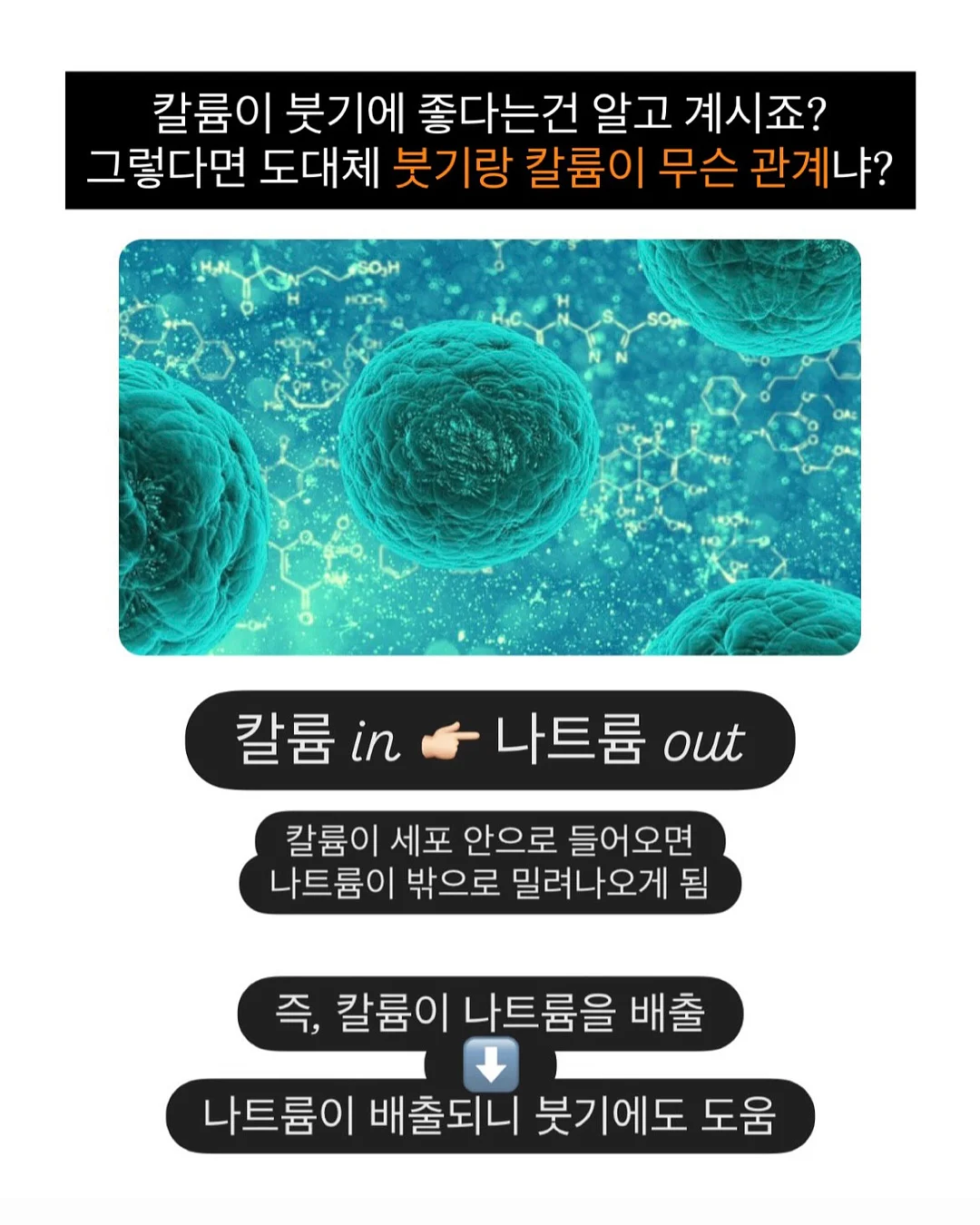 에뉴미르 카드지갑 키트 11