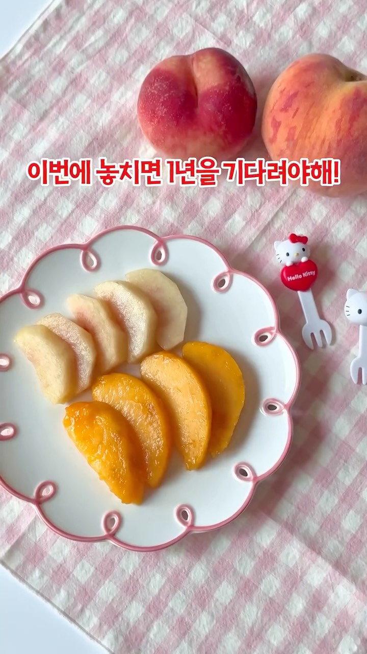 체험단 리스트