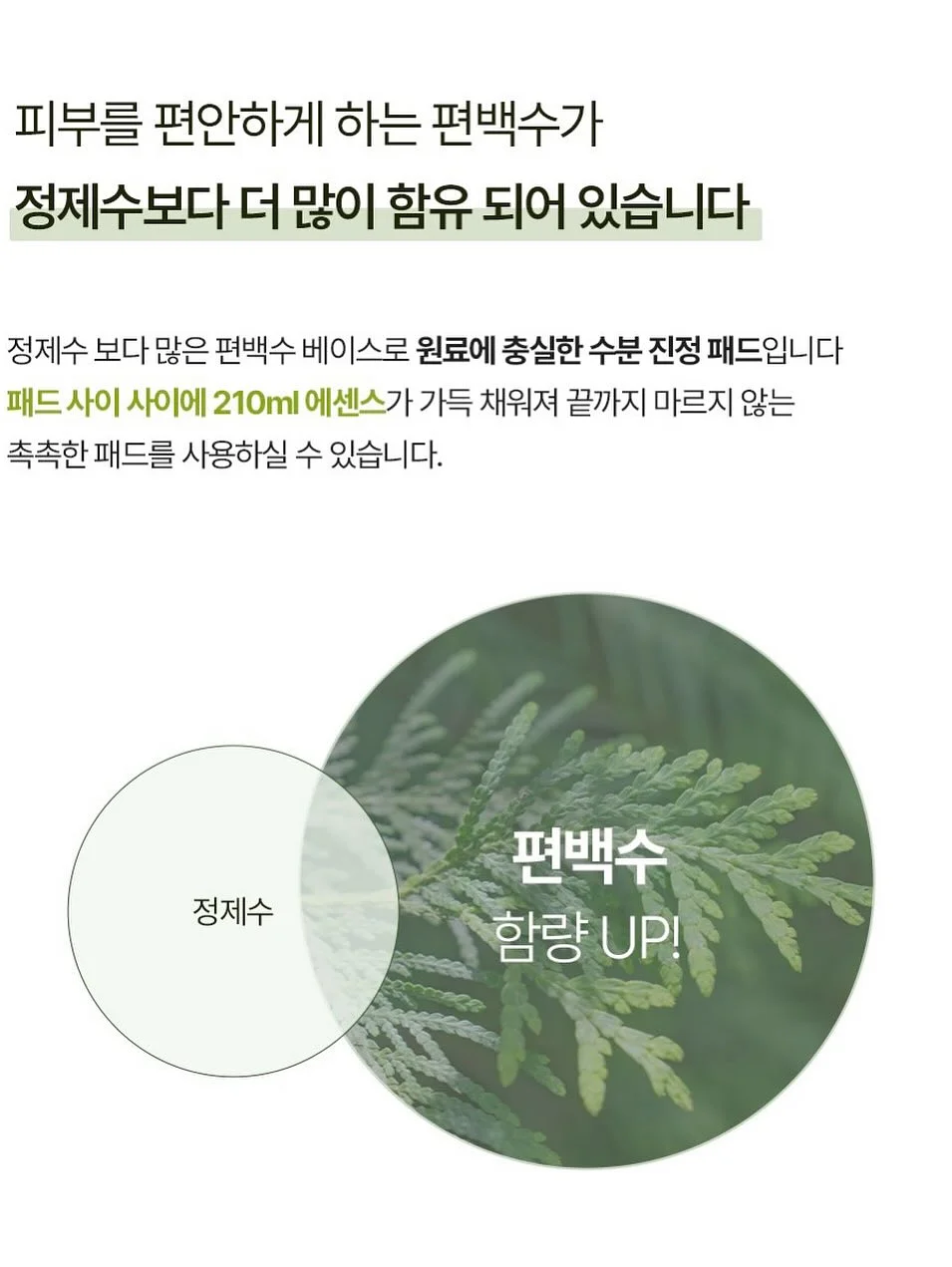 소적두 저당 단팥빵 11
