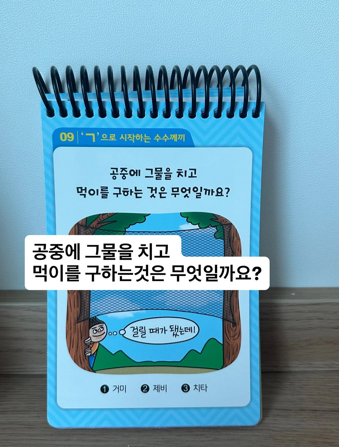 베베데코 히말라야 실키스노우 냉감 메쉬패드 세트 6