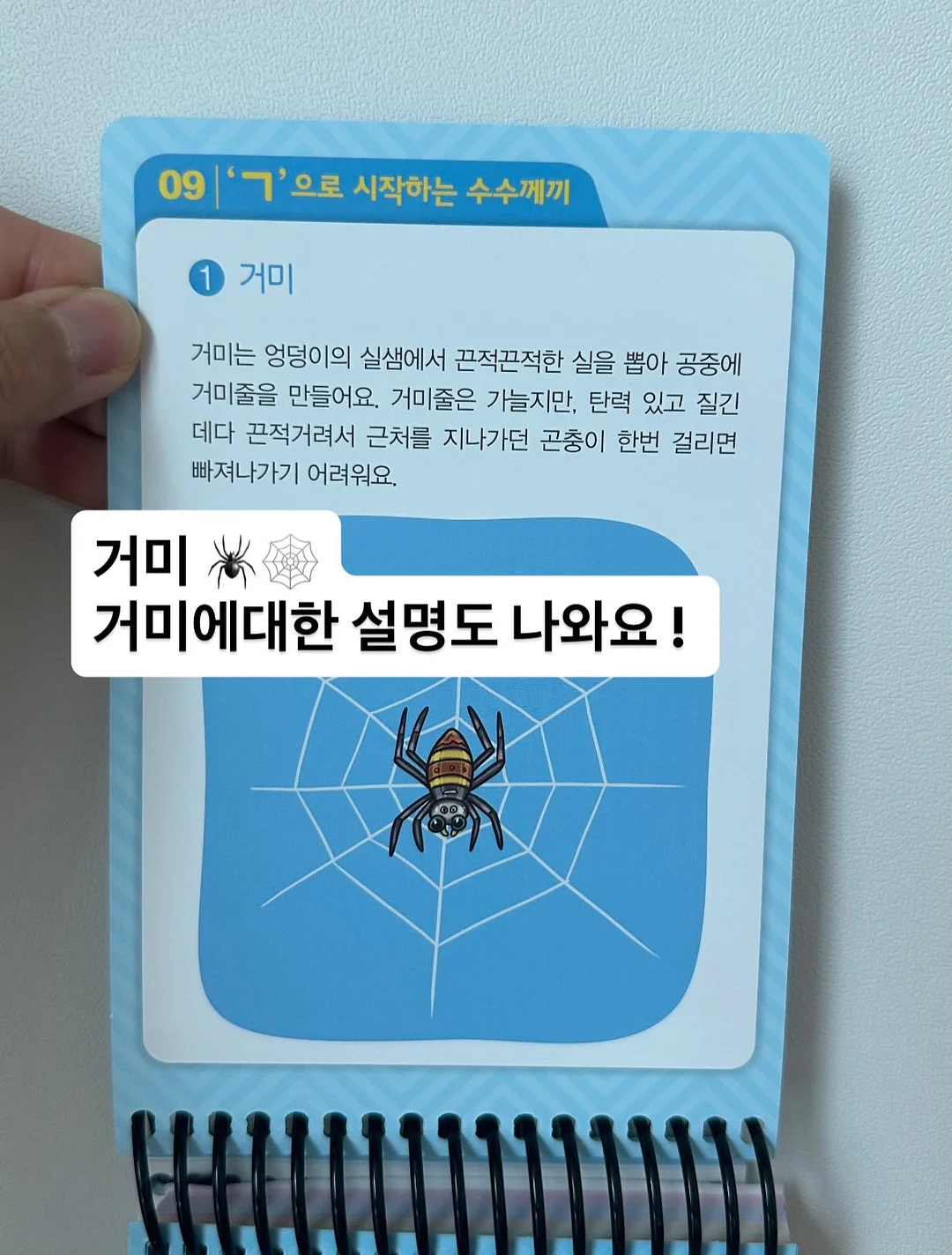베베데코 히말라야 실키스노우 냉감 메쉬패드 세트 7