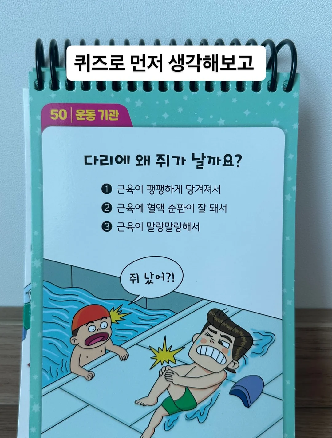 베베데코 히말라야 실키스노우 냉감 메쉬패드 세트 10