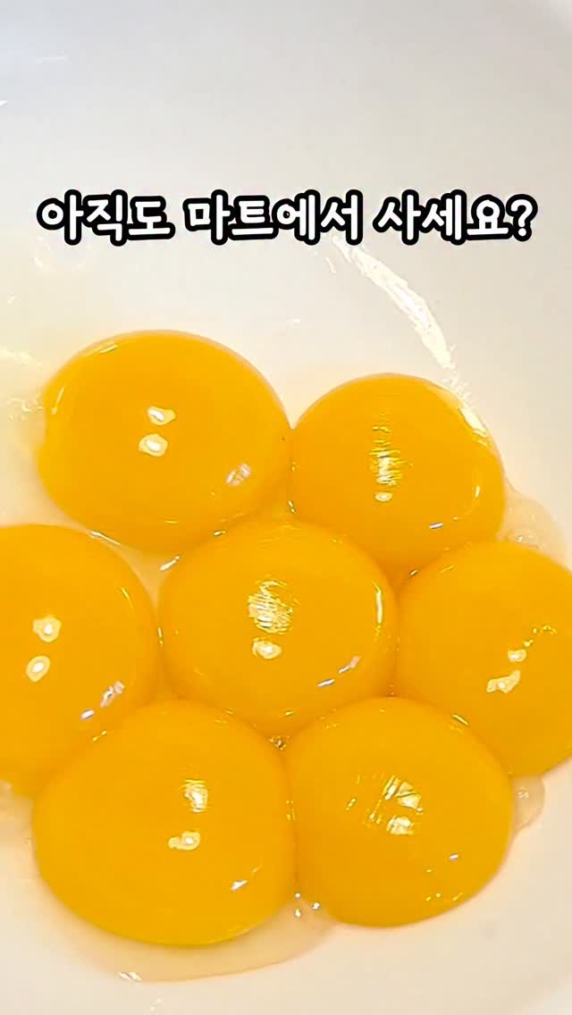 스팀 청소기