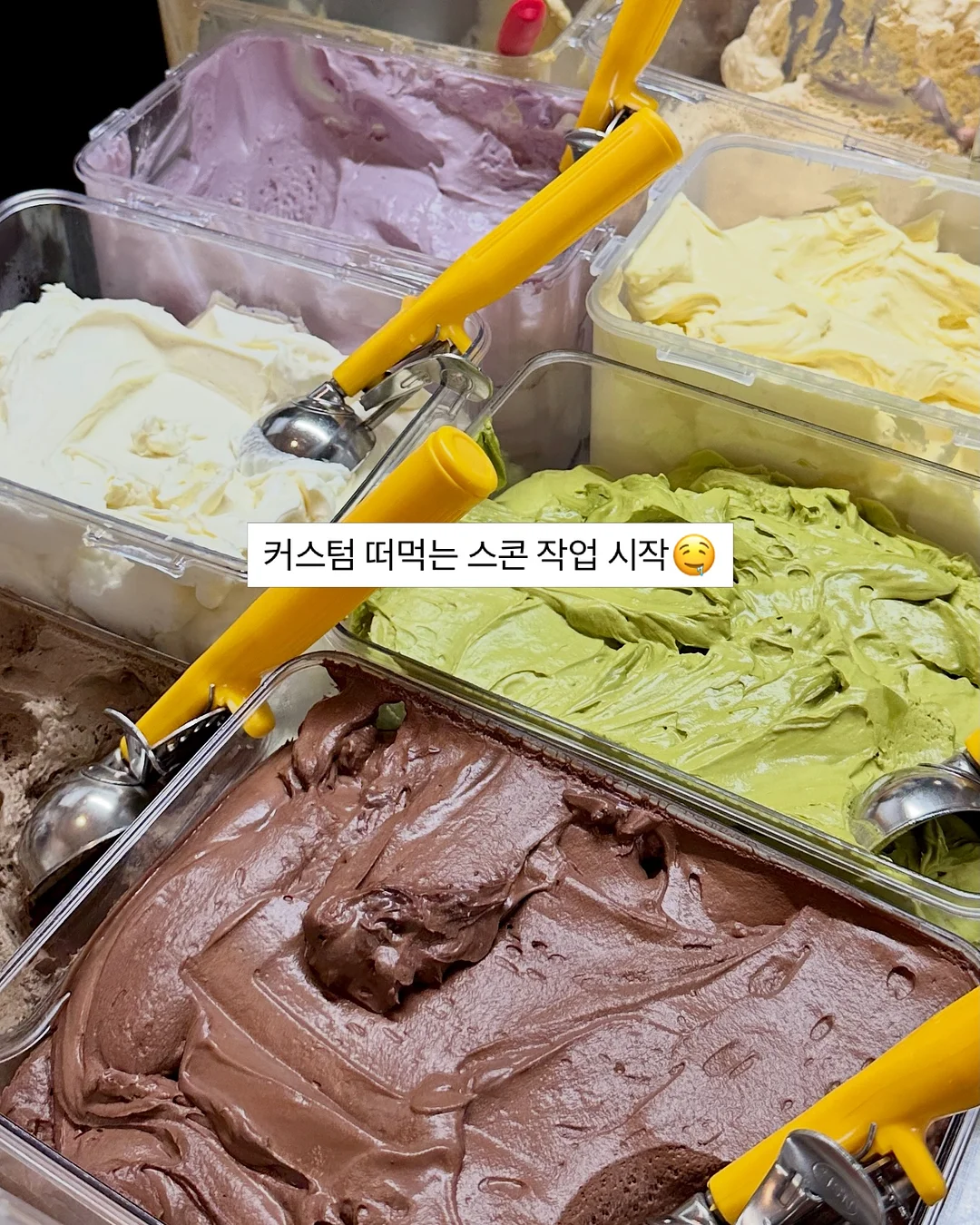식목일 꿀템 1