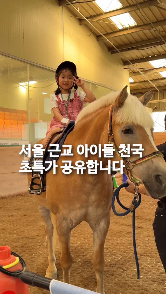 케이블 폴로 니트