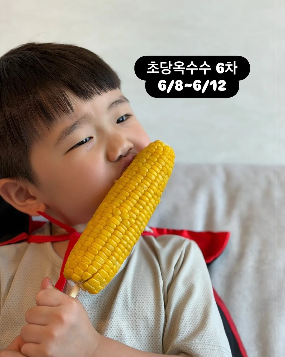 밥누스 약콩두유 4