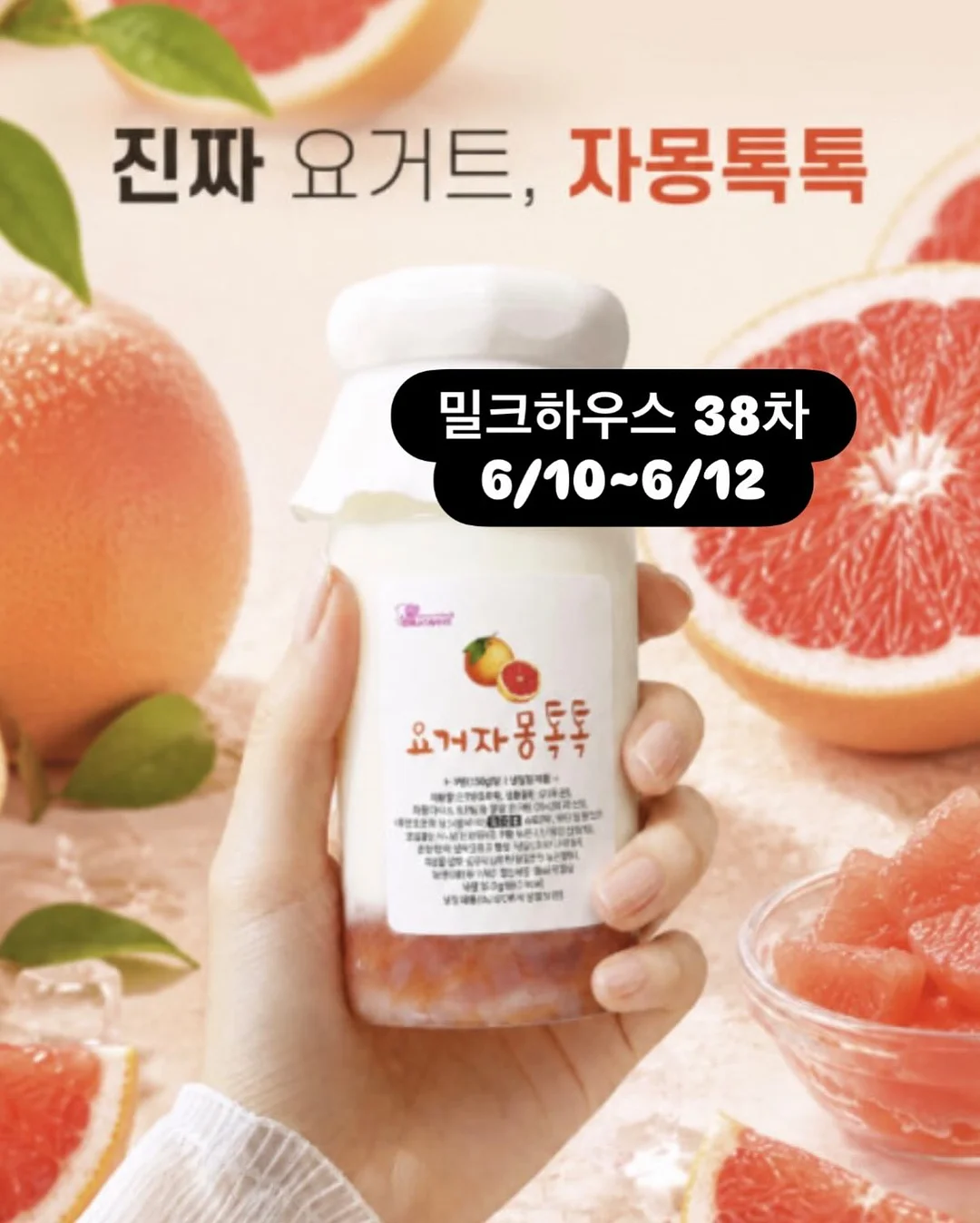 밥누스 약콩두유 5