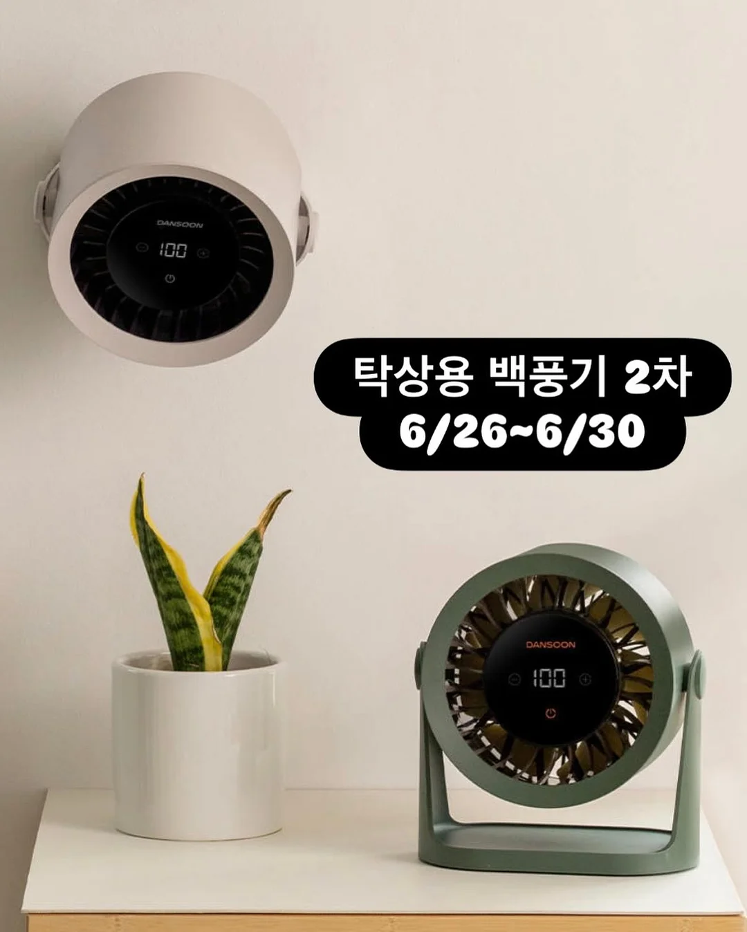 밥누스 약콩두유 9