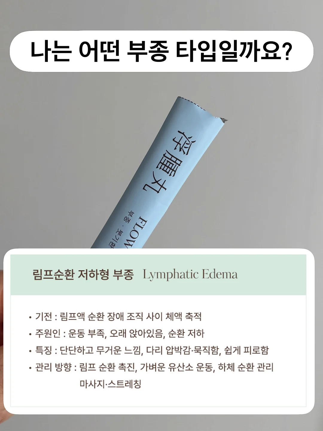 리본고미키티 몰드 1