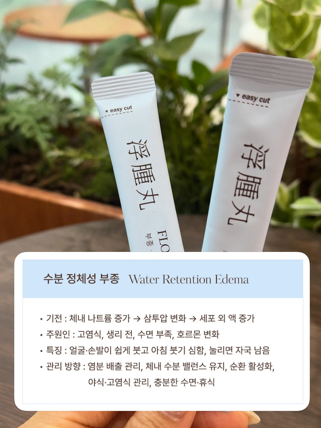 리본고미키티 몰드 3