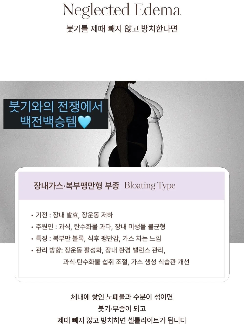 리본고미키티 몰드 4