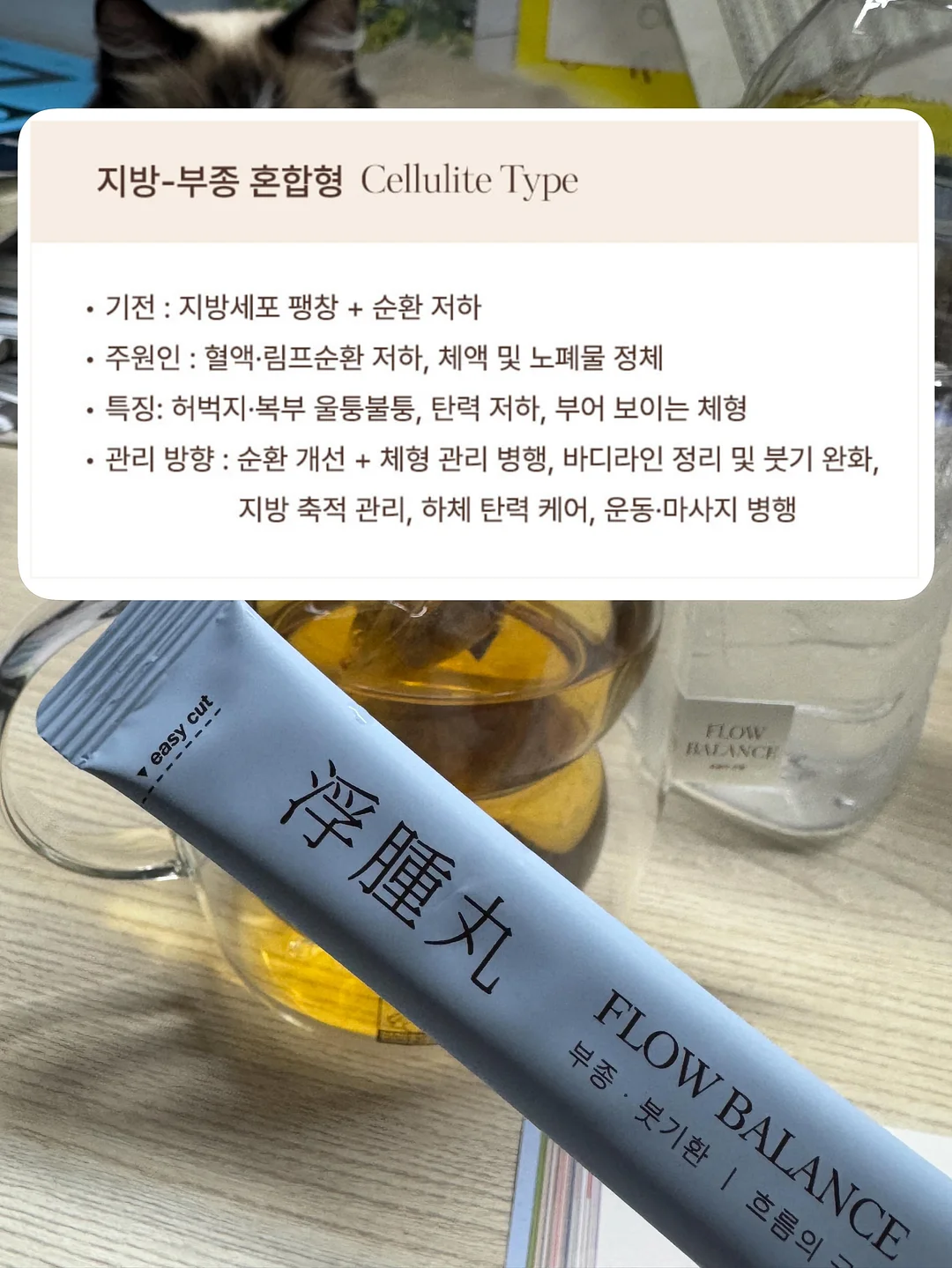 리본고미키티 몰드 6