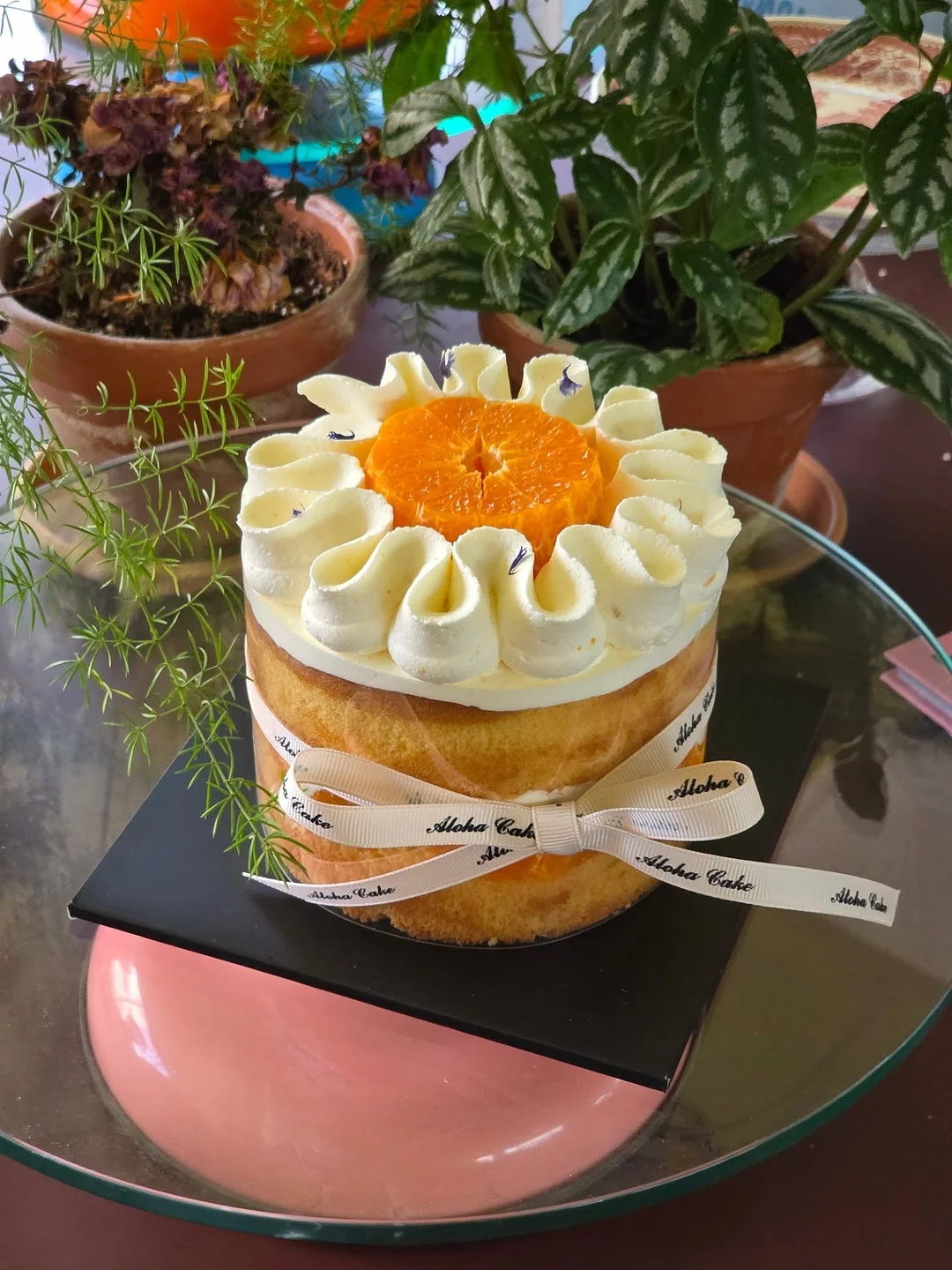 여름 오간자 세트 3