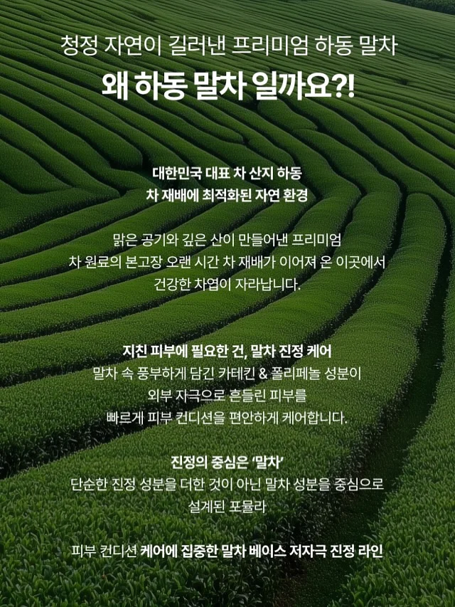 손수건 9