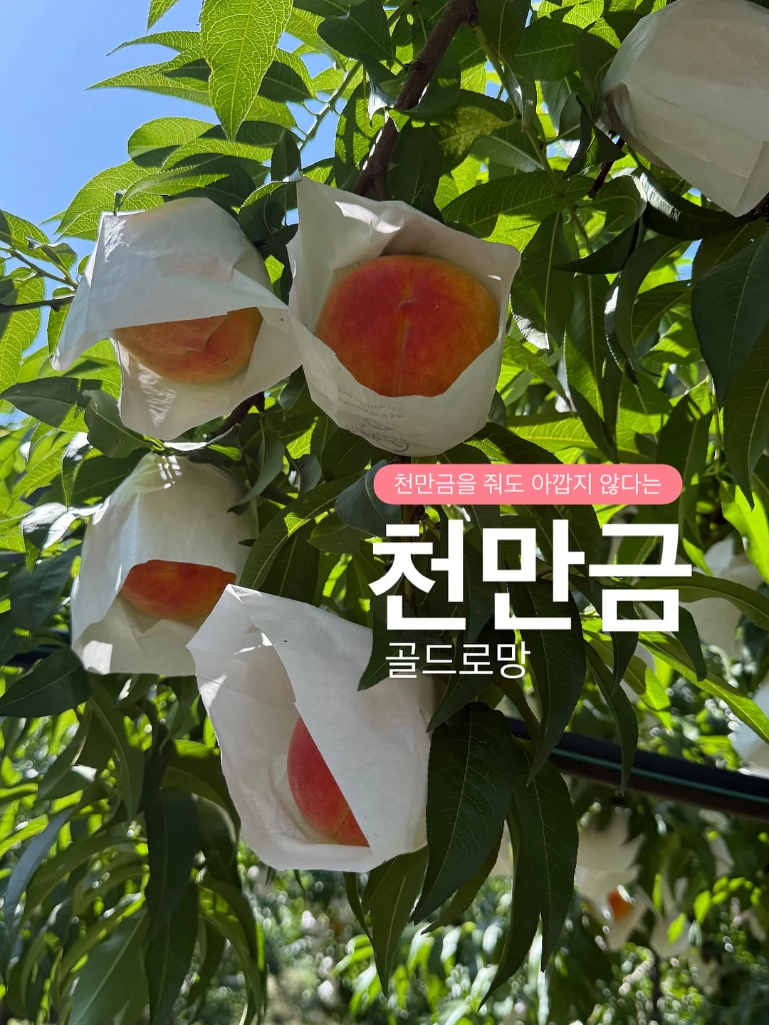 3단 빨래 바구니 8