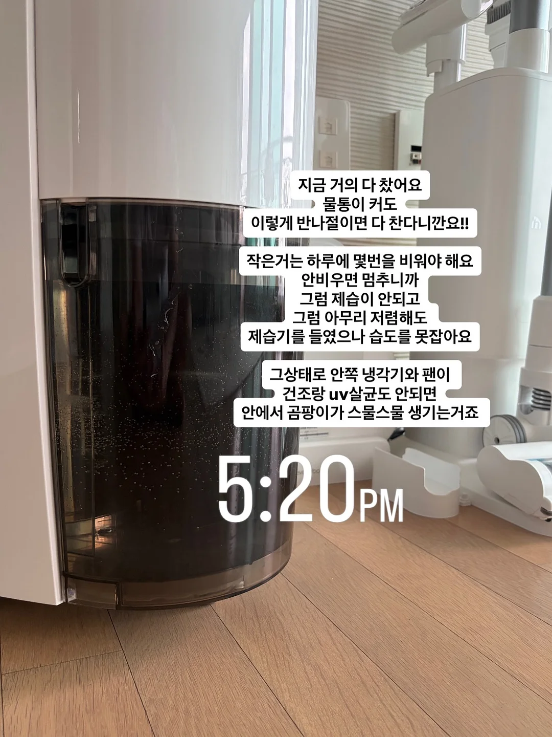 스네프 물놀이 용품 5
