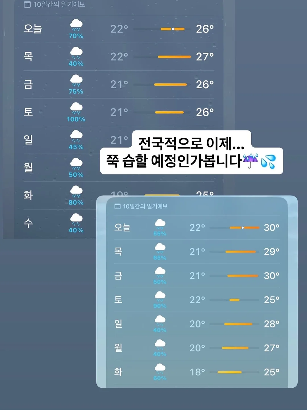 스네프 물놀이 용품 6